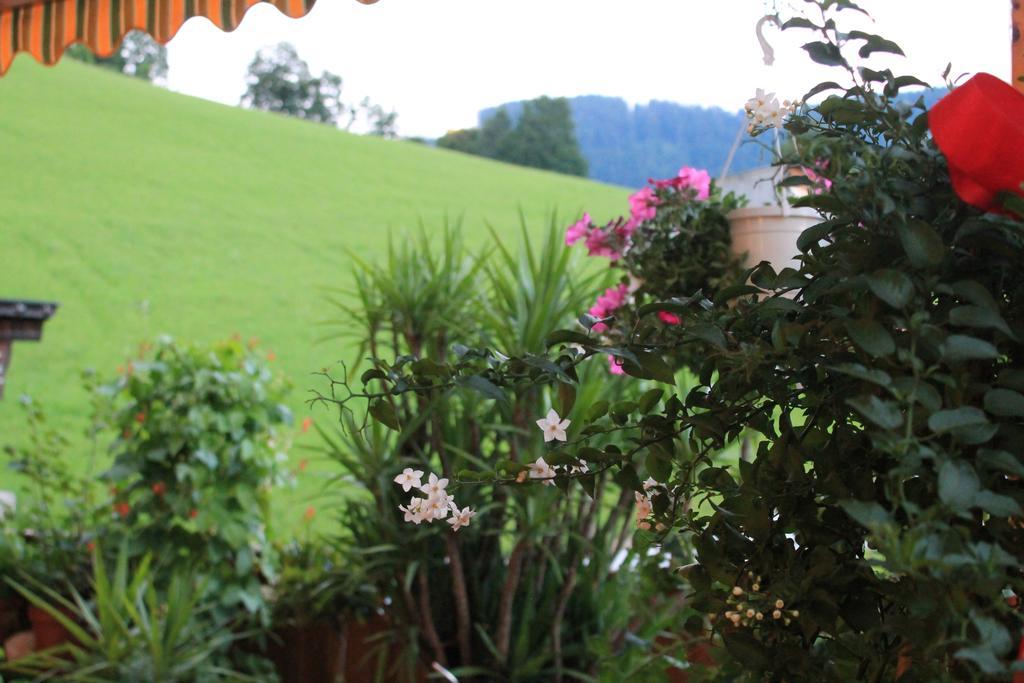 Hotel Sonne Niederau